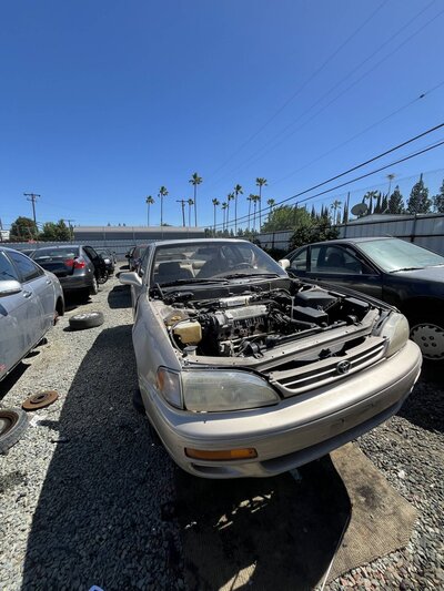 Catalog item SAC048068