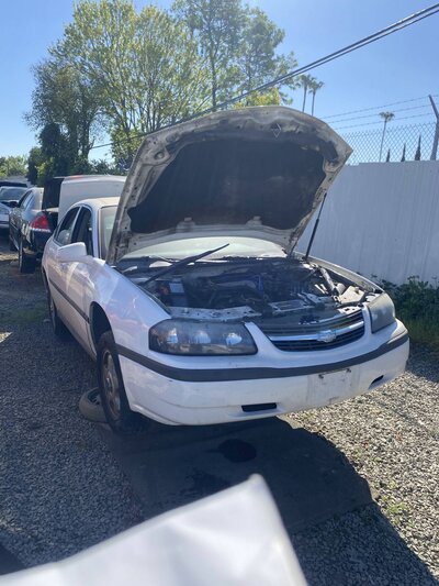 Artículo del catálogo SAC047958