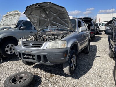 Catalog item POM064036