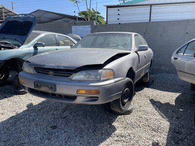 Catalog item POM064063