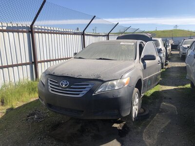 Catalog item FRE110588