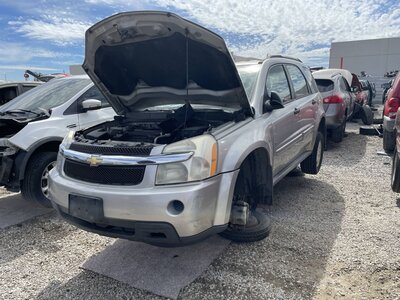 Catalog item POM063862