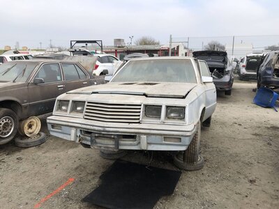 Catalog item FRE110179