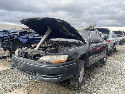 Catalog item POM063632