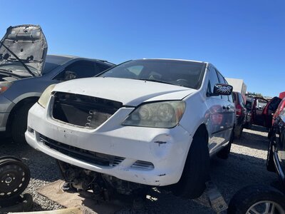 Catalog item POM062141