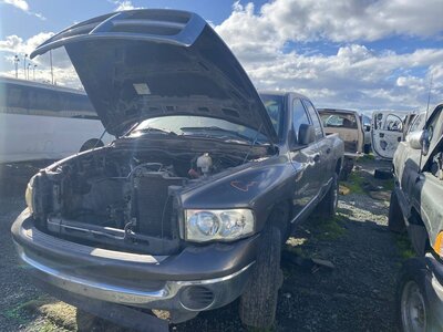 Catalog item SAC045519