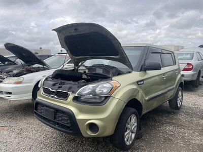 Catalog item POM063673