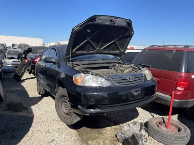 Catalog item POM063337