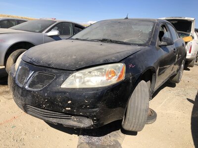 Catalog item FRE112562