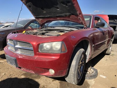 Catalog item FRE112745