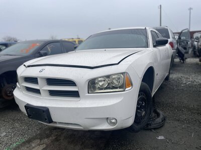 Artículo del catálogo STK055535