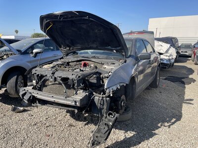 Catalog item POM063217