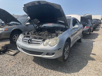 Catalog item POM063719