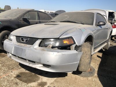 Catalog item FRE111769