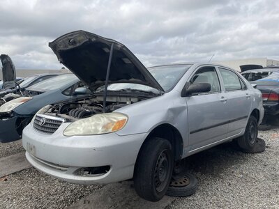 Catalog item POM063628