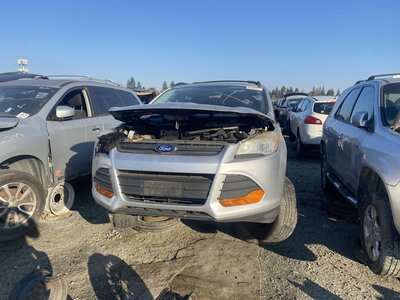 Catalog item SAC044784