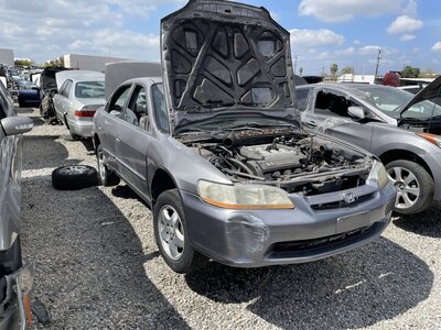 Catalog item POM063037