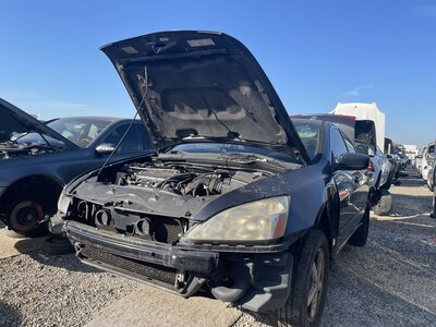 Catalog item POM062764