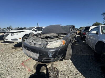 Artículo del catálogo SAC047562