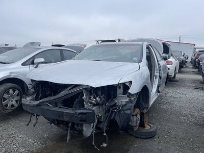 Artículo del catálogo STK055516