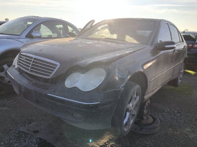 Catalog item FRE110238