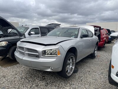 Catalog item POM063627