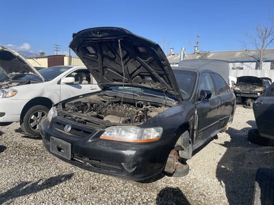 Catalog item POM062978