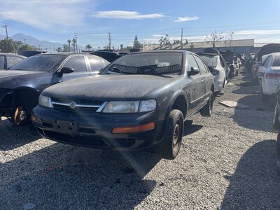 Catalog item POM063559