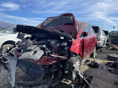 Catalog item POM062354