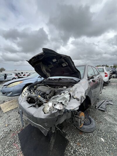 Artículo del catálogo SAC048515