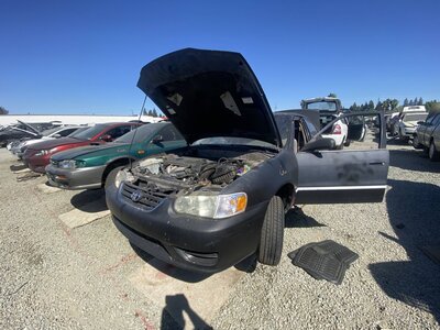 Catalog item SAC047706