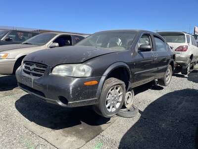 Artículo del catálogo STK056219