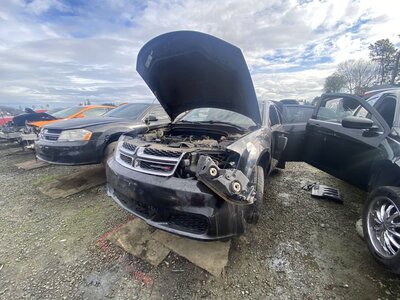 Catalog item SAC045920