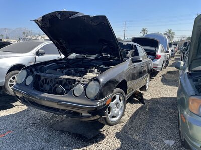 Catalog item POM063359