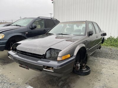 Catalog item STK055880