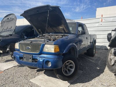 Catalog item POM063510