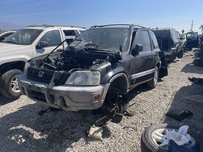 Catalog item POM063745