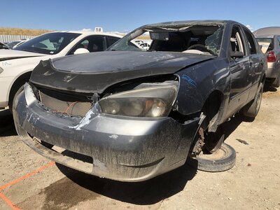 Catalog item FRE112932