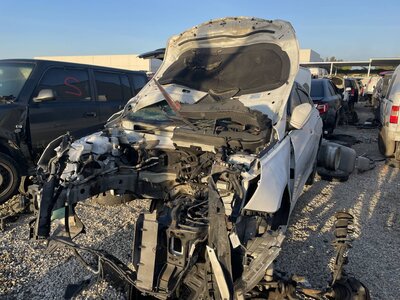 Catalog item POM062165