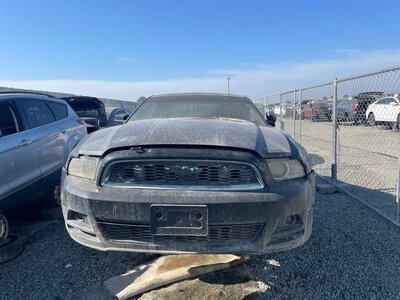 Catalog item STK054558