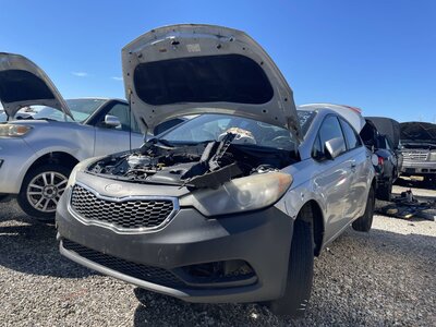 Catalog item POM062729