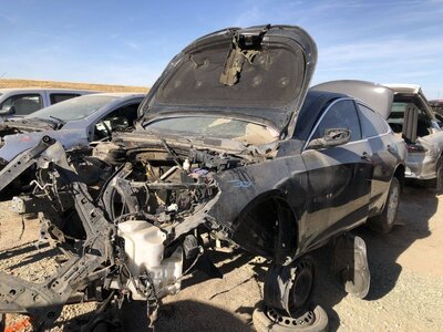 Catalog item FRE101187