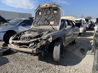 Catalog item POM063435