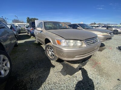 Catalog item SAC047320