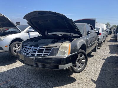 Catalog item POM063815