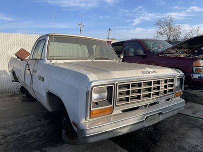 Catalog item STK054262