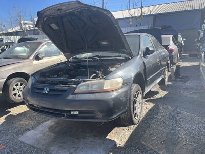 Catalog item POM063170