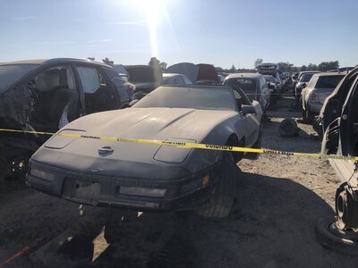 Catalog item FRE110856