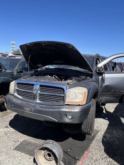 Catalog item SAC048173