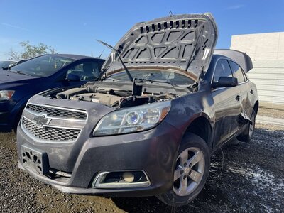 Catalog item POM062742